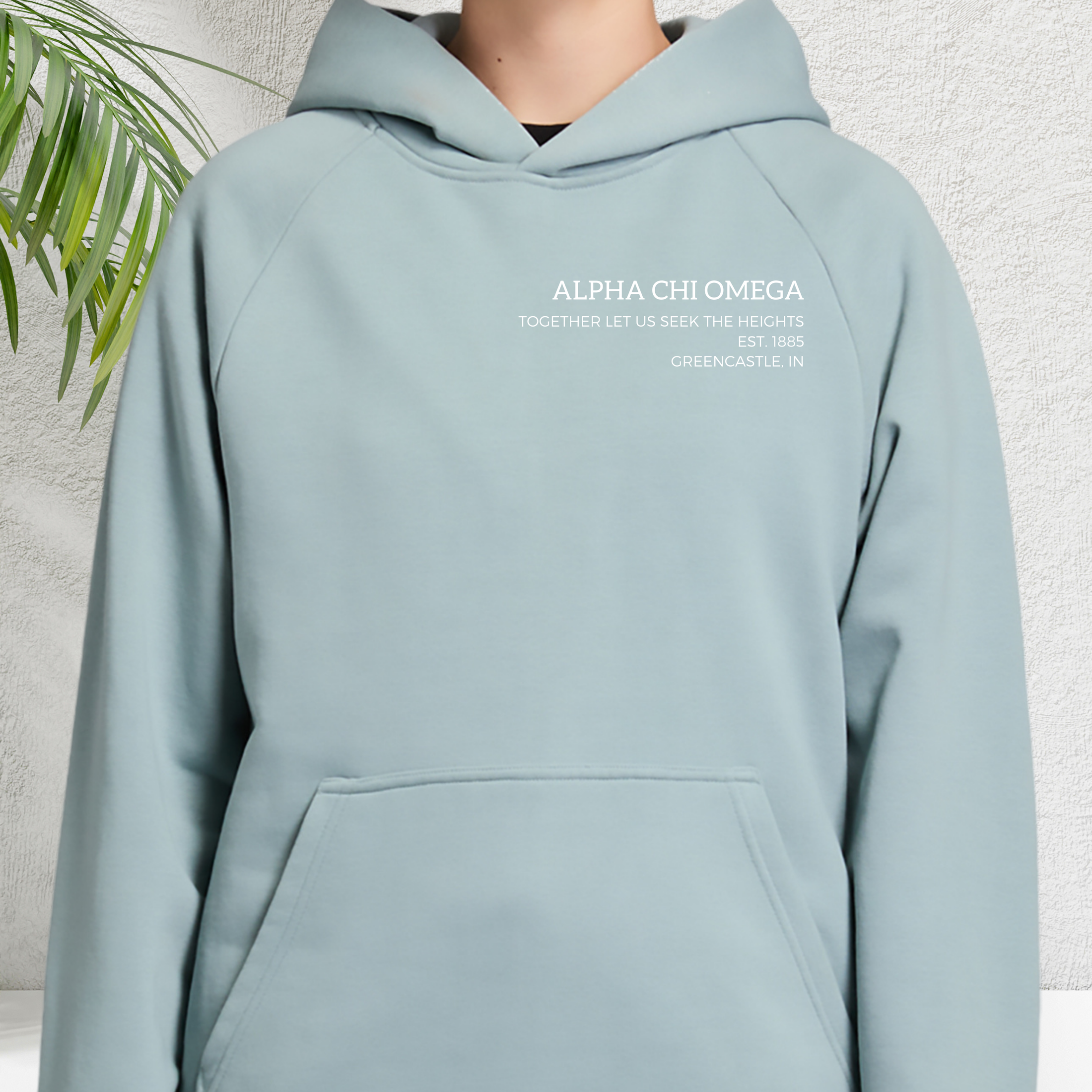 The Origin Hooded Heavyweight Sweatshirt